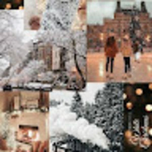 Meet your Posher, Arianna